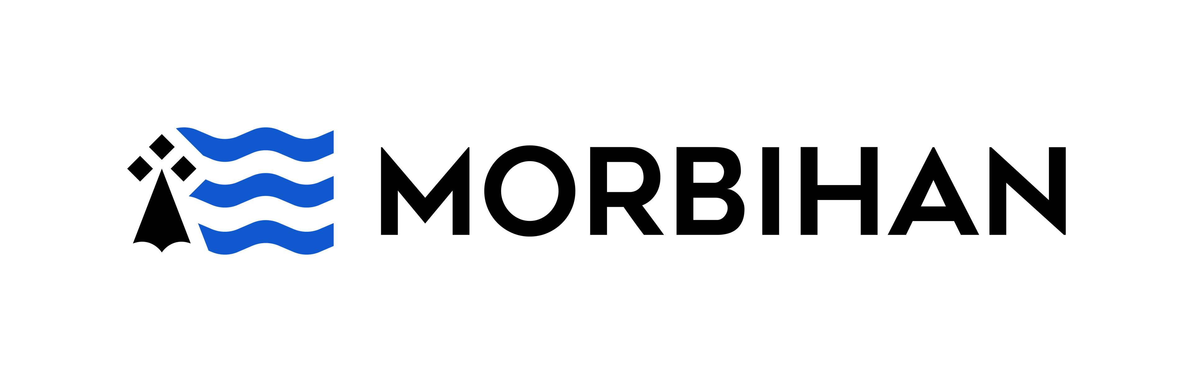 morbihan logo