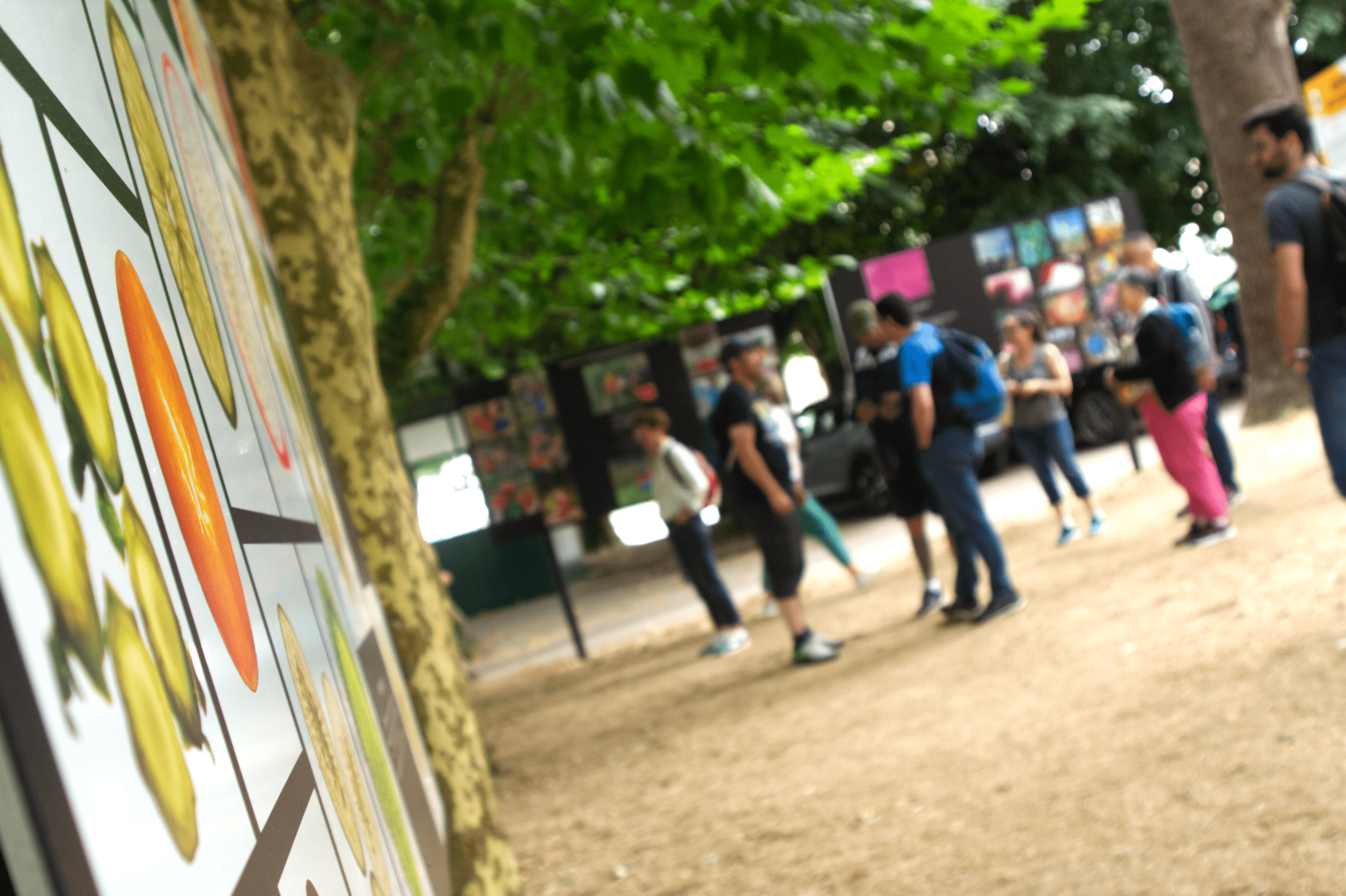 exposition la Gacilly